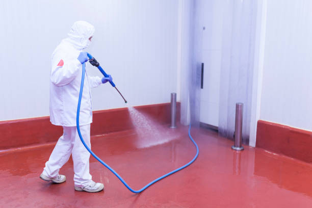 Best Pool Deck Cleaning  in Los Altos, CA